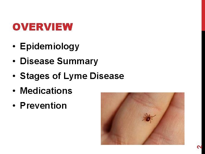OVERVIEW • Epidemiology • Disease Summary • Stages of Lyme Disease • Medications 2