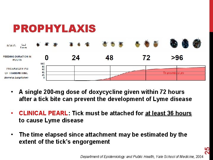 PROPHYLAXIS • A single 200 -mg dose of doxycycline given within 72 hours after