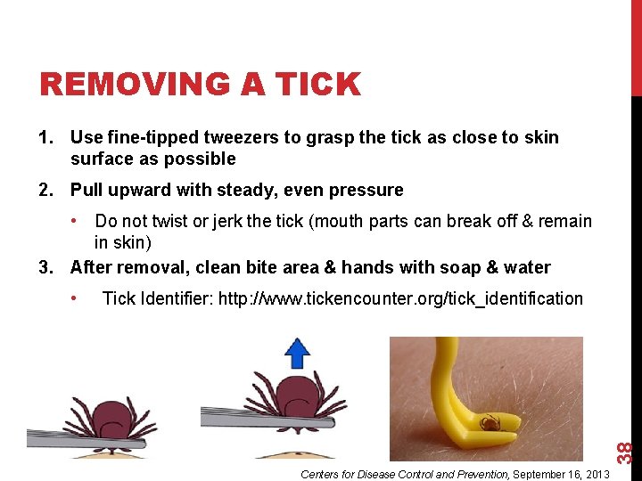 REMOVING A TICK 1. Use fine-tipped tweezers to grasp the tick as close to