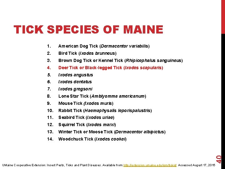 1. American Dog Tick (Dermacentor variabilis) 2. Bird Tick (Ixodes brunneus) 3. Brown Dog