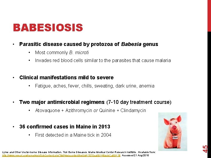 BABESIOSIS • Parasitic disease caused by protozoa of Babesia genus • Most commonly B.