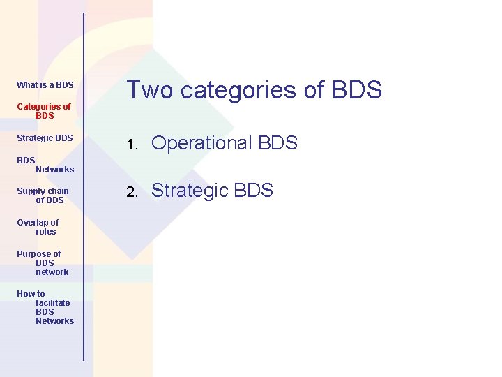 What is a BDS Categories of BDS Strategic BDS Two categories of BDS 1.