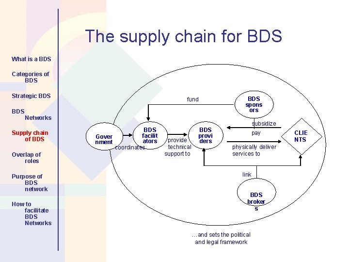 The supply chain for BDS What is a BDS Categories of BDS Strategic BDS