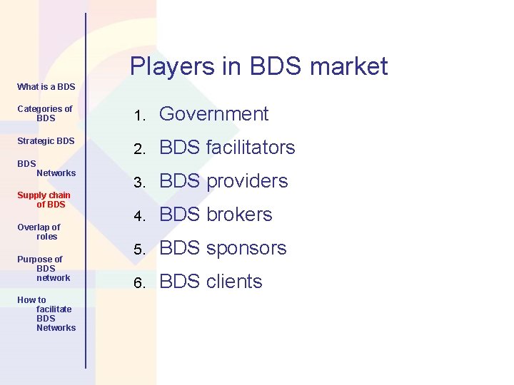 Players in BDS market What is a BDS Categories of BDS 1. Government Strategic