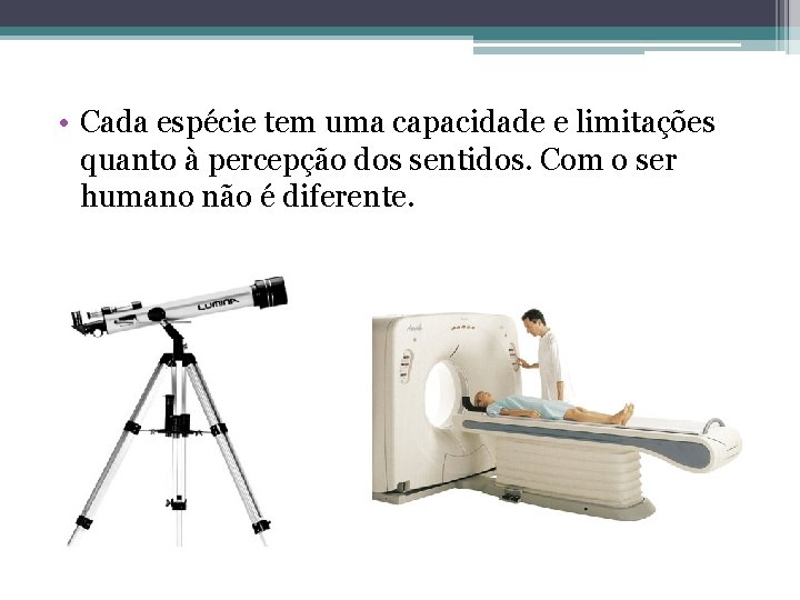  • Cada espécie tem uma capacidade e limitações quanto à percepção dos sentidos.