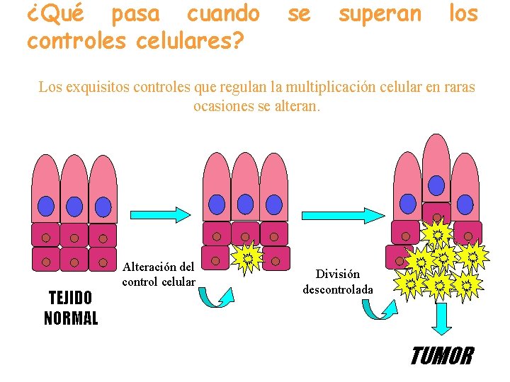 ¿Qué pasa cuando controles celulares? se superan los Los exquisitos controles que regulan la