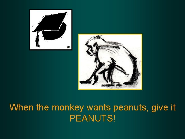 When the monkey wants peanuts, give it PEANUTS! 