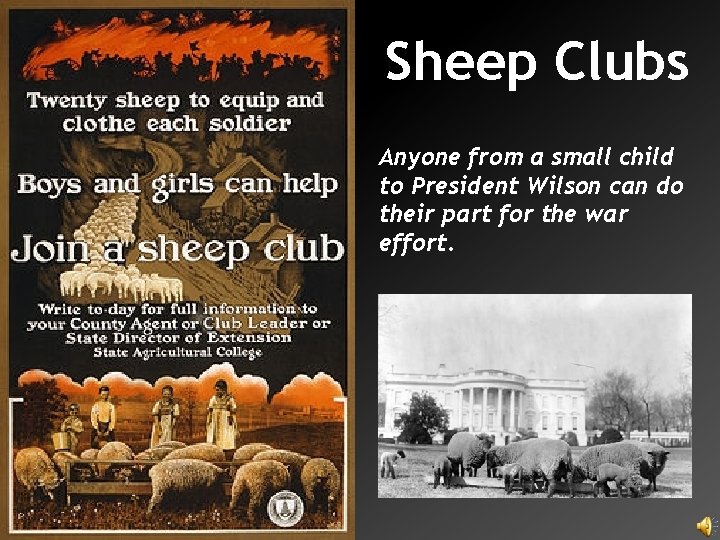Sheep Clubs Anyone from a small child to President Wilson can do their part