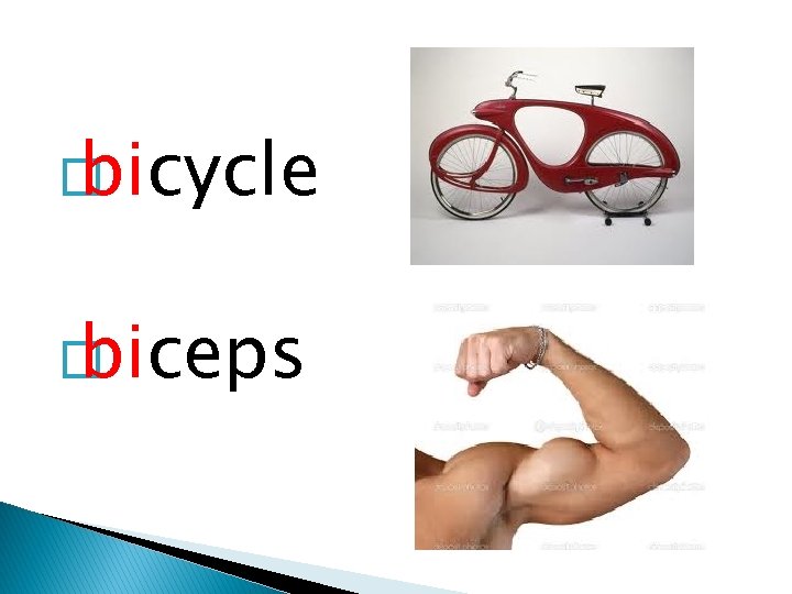 � bicycle � biceps 