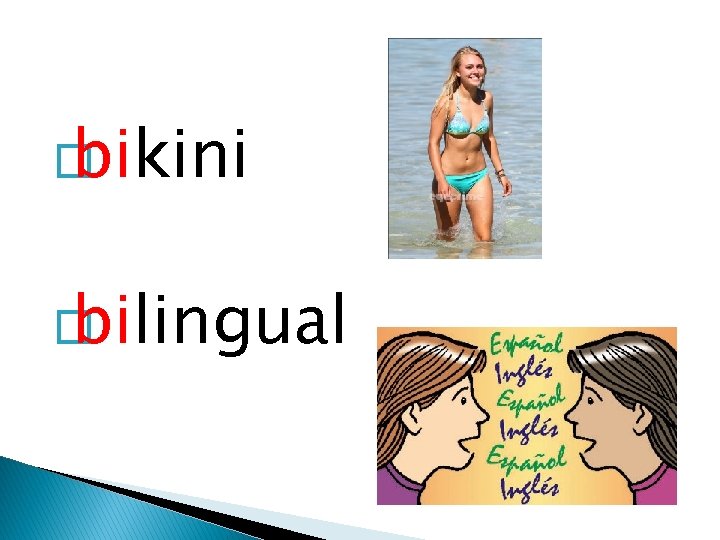 � bikini � bilingual 