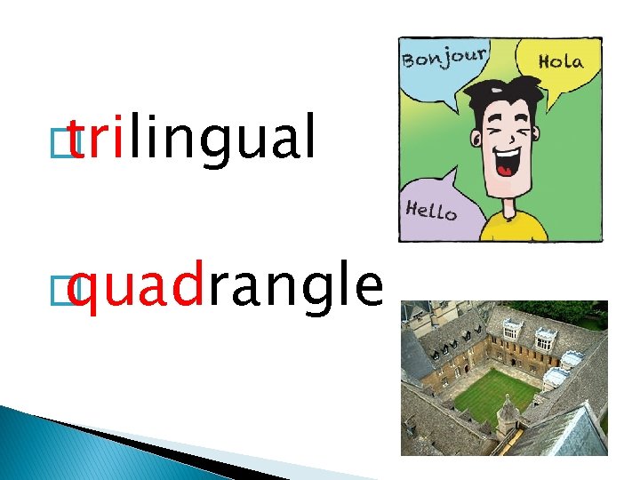 � trilingual � quadrangle 