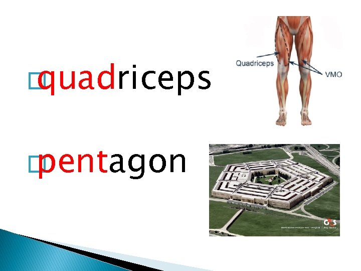 � quadriceps � pentagon 