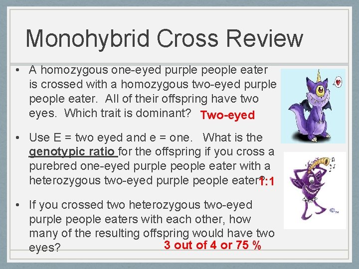 Monohybrid Cross Review • A homozygous one-eyed purple people eater is crossed with a