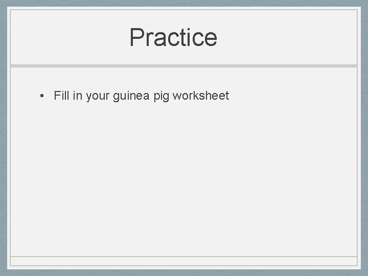 Practice • Fill in your guinea pig worksheet 