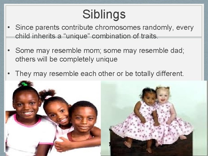 Siblings • Since parents contribute chromosomes randomly, every child inherits a “unique” combination of