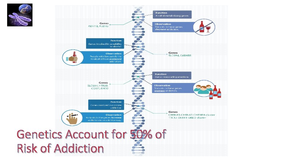 Genetics Account for 50% of Risk of Addiction 