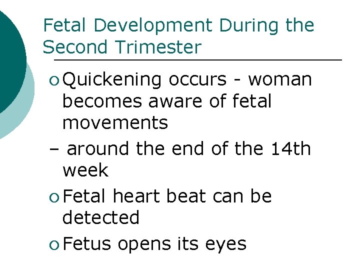 Fetal Development During the Second Trimester ¡ Quickening occurs - woman becomes aware of