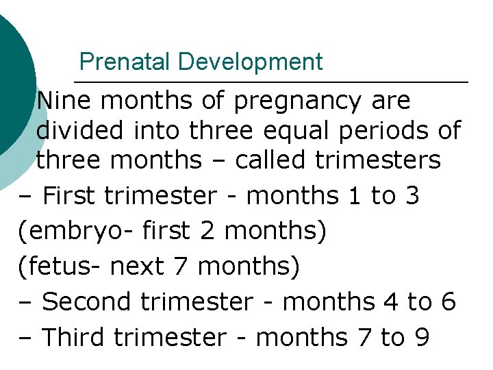 Prenatal Development ¡ Nine months of pregnancy are divided into three equal periods of