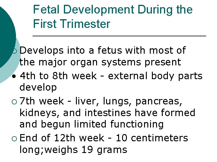 Fetal Development During the First Trimester ¡ Develops into a fetus with most of