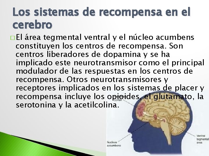 Los sistemas de recompensa en el cerebro � El área tegmental ventral y el