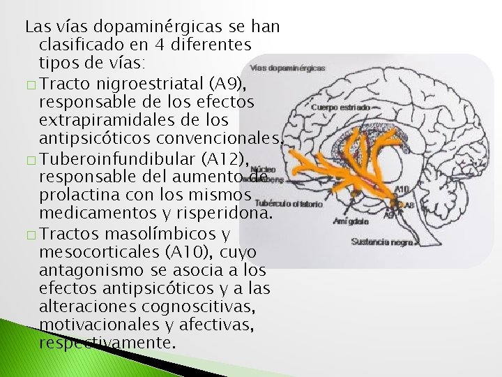 Las vías dopaminérgicas se han clasificado en 4 diferentes tipos de vías: � Tracto