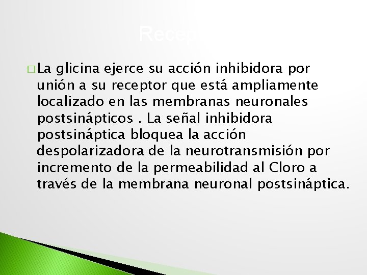 Receptores � La glicina ejerce su acción inhibidora por unión a su receptor que