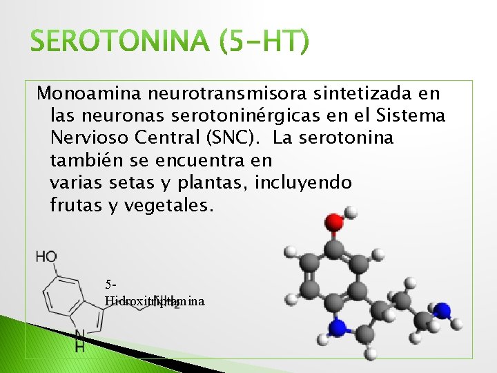 Monoamina neurotransmisora sintetizada en las neuronas serotoninérgicas en el Sistema Nervioso Central (SNC). La
