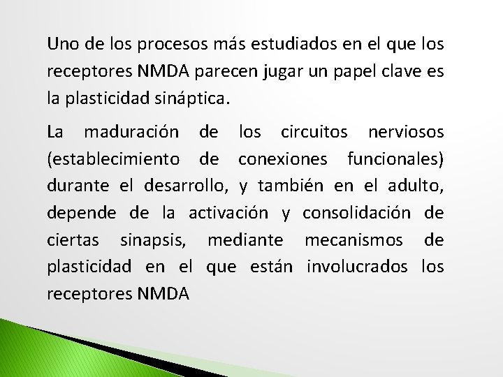 Uno de los procesos más estudiados en el que los receptores NMDA parecen jugar