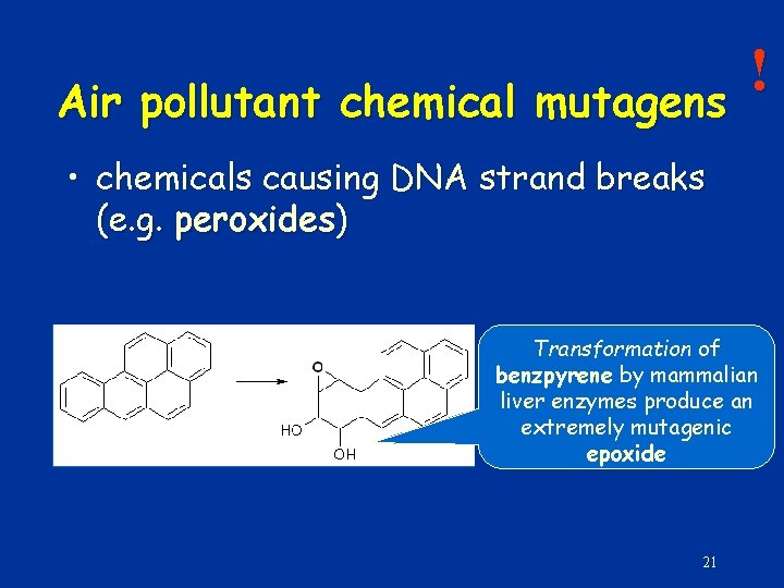 Air pollutant chemical mutagens ! • chemicals causing DNA strand breaks (e. g. peroxides)