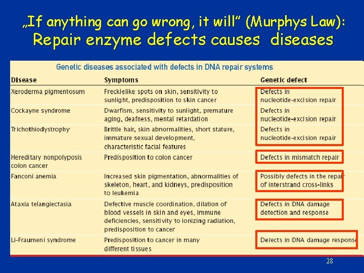 „If anything can go wrong, it will” (Murphys Law): Repair enzyme defects causes diseases