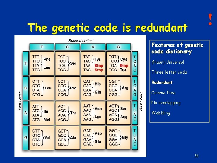 ! The genetic code is redundant Features of genetic code dictionary (Near) Universal Three