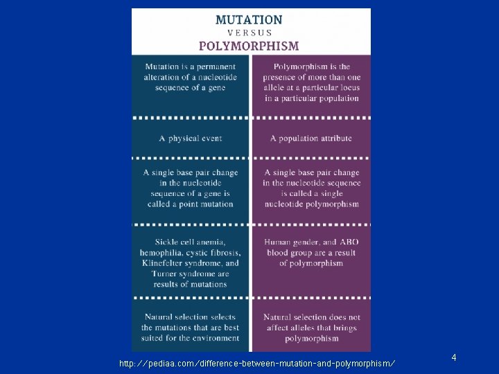 http: //pediaa. com/difference-between-mutation-and-polymorphism/ 4 