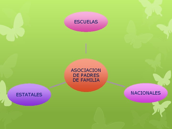 ESCUELAS ASOCIACION DE PADRES DE FAMILIA ESTATALES NACIONALES 
