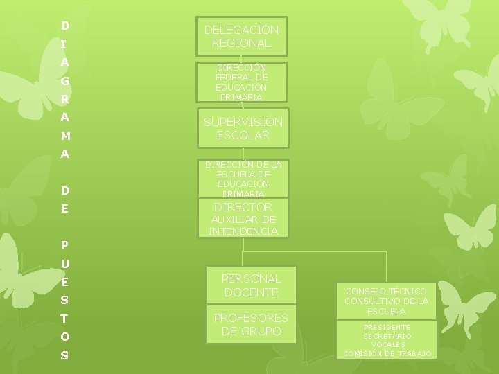 D I A G R A M A DELEGACIÓN REGIONAL DIRECCIÓN FEDERAL DE EDUCACIÓN