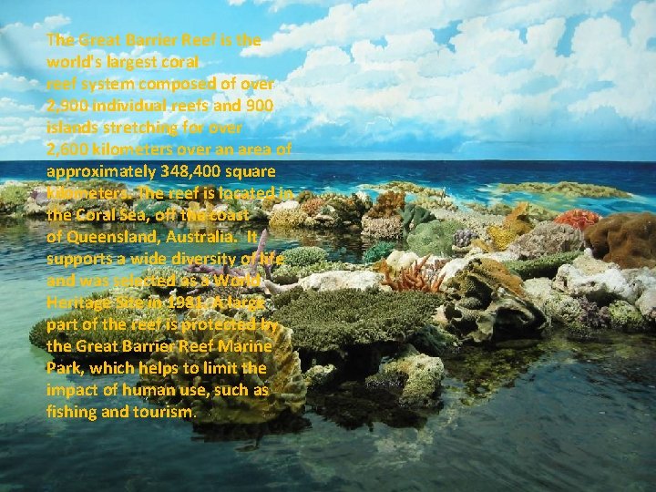  The Great Barrier Reef is the world's largest coral reef system composed of