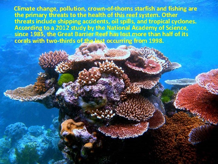 Climate change, pollution, crown-of-thorns starfish and fishing are the primary threats to the health