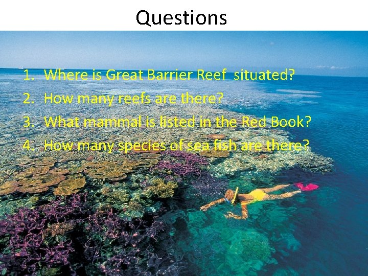 Questions 1. 2. 3. 4. Where is Great Barrier Reef situated? How many reefs