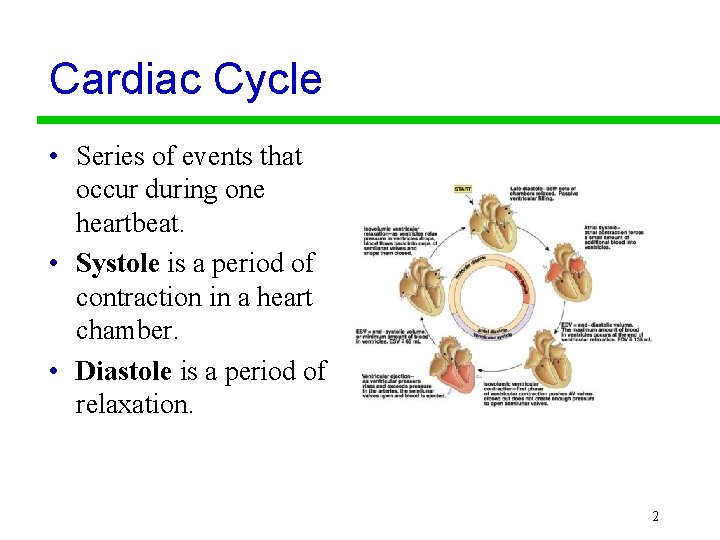 Cardiac Cycle • Series of events that occur during one heartbeat. • Systole is