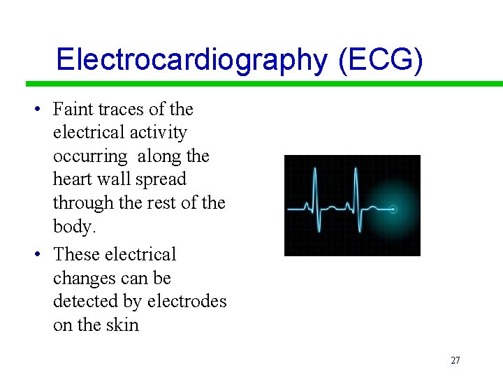 Electrocardiography (ECG) • Faint traces of the electrical activity occurring along the heart wall