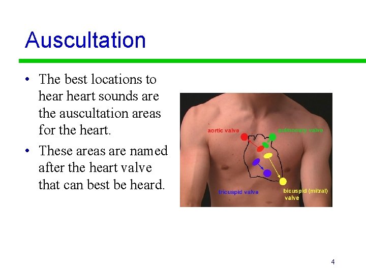 Auscultation • The best locations to heart sounds are the auscultation areas for the