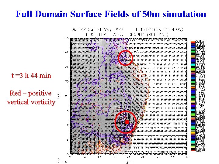 Full Domain Surface Fields of 50 m simulation t =3 h 44 min Red