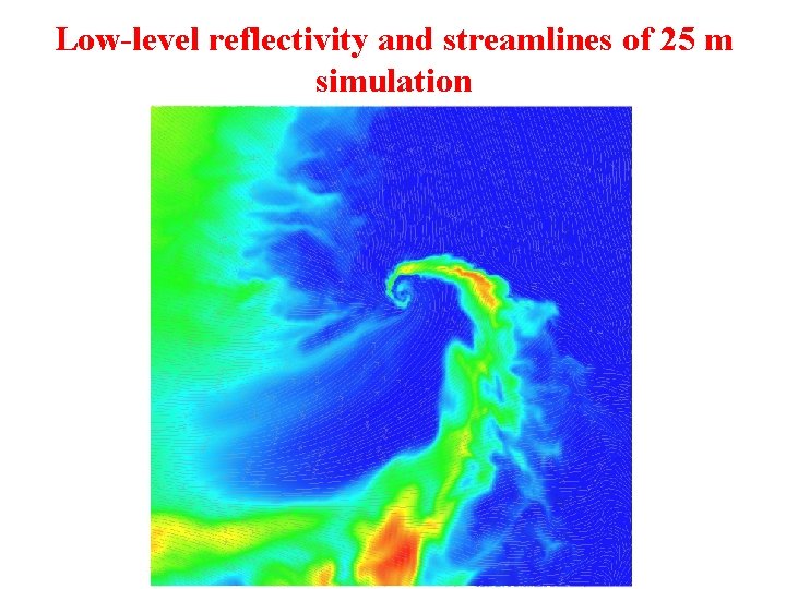 Low-level reflectivity and streamlines of 25 m simulation 
