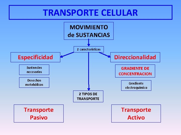TRANSPORTE CELULAR MOVIMIENTO de SUSTANCIAS 2 características Especificidad Direccionalidad GRADIENTE DE CONCENTRACION Sustancias necesarias