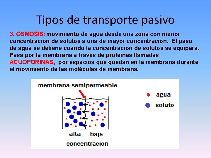 Tipos de transporte pasivo 3. OSMOSIS: movimiento de agua desde una zona con menor