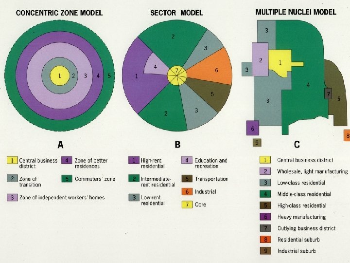 Urban Geography: Urban Pattern and Structure 