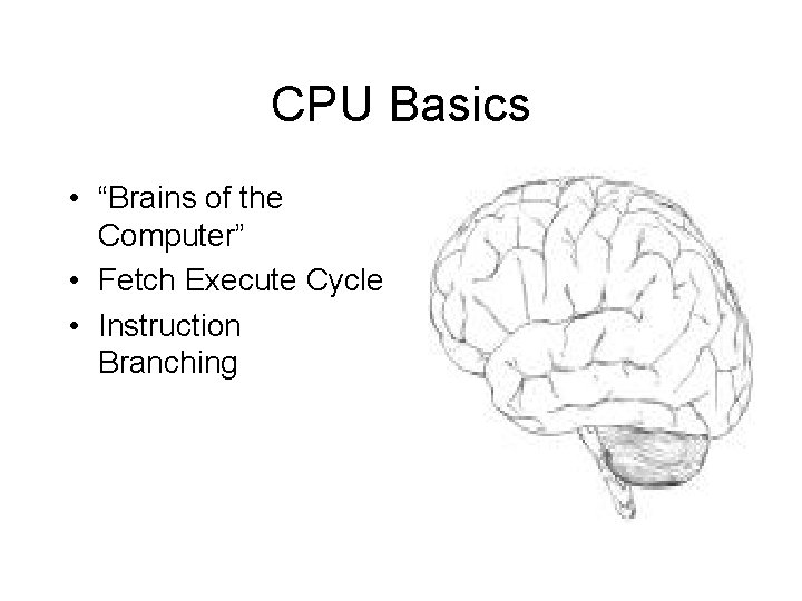 CPU Basics • “Brains of the Computer” • Fetch Execute Cycle • Instruction Branching CPU Basics • “Brains of the Computer” • Fetch Execute Cycle • Instruction Branching