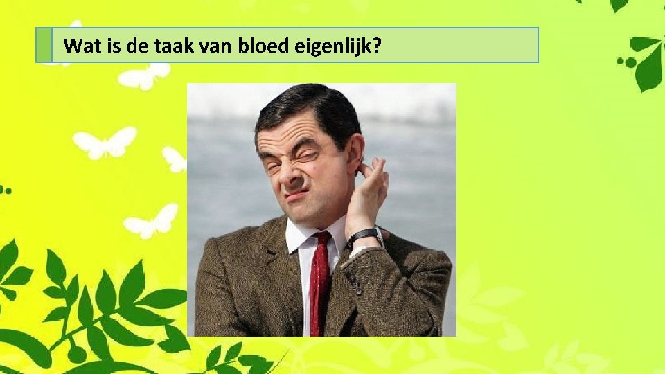 H 3 De bloedsomloop 1 Bloed Wat gaan