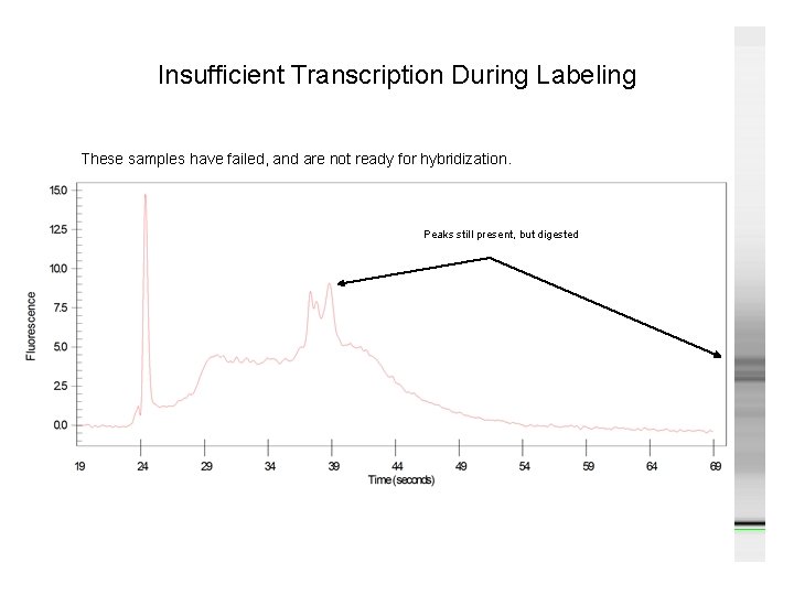 Insufficient Transcription During Labeling These samples have failed, and are not ready for hybridization.