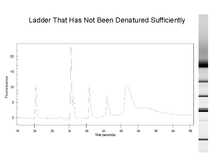 Ladder That Has Not Been Denatured Sufficiently 