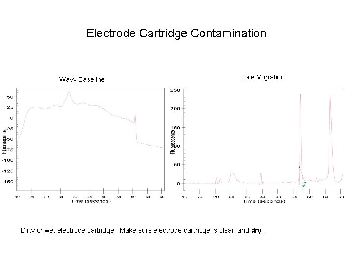 Electrode Cartridge Contamination Wavy Baseline Late Migration Dirty or wet electrode cartridge. Make sure